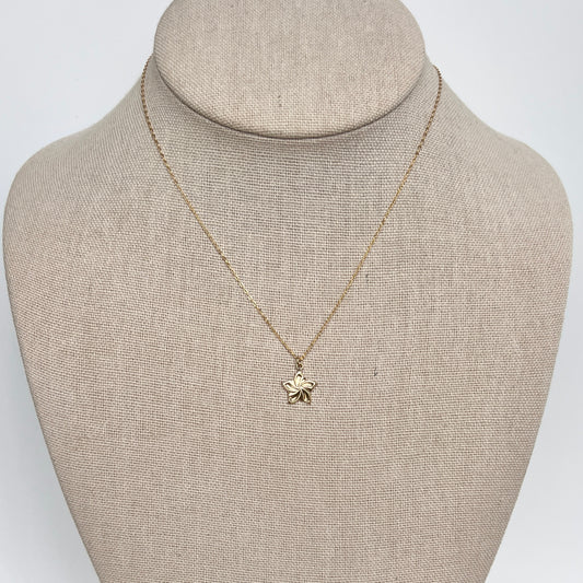 The Virtue Collection- Humility